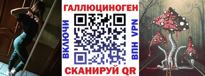Псилоцибиновые грибы Psilocybine cubensis Луховицы